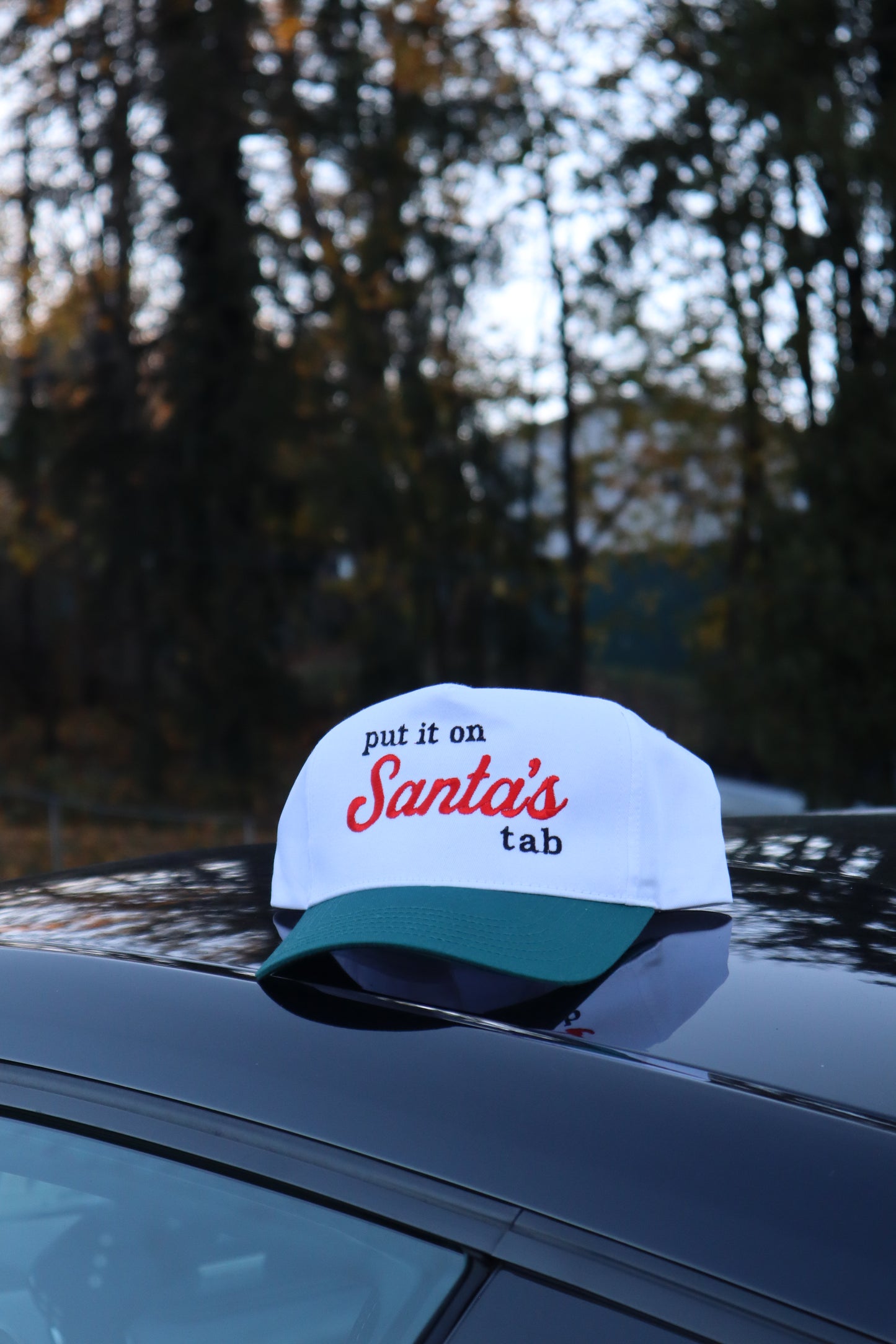 Embroidered 'Put it on Santas Tab' Hat, Unisex, Adult