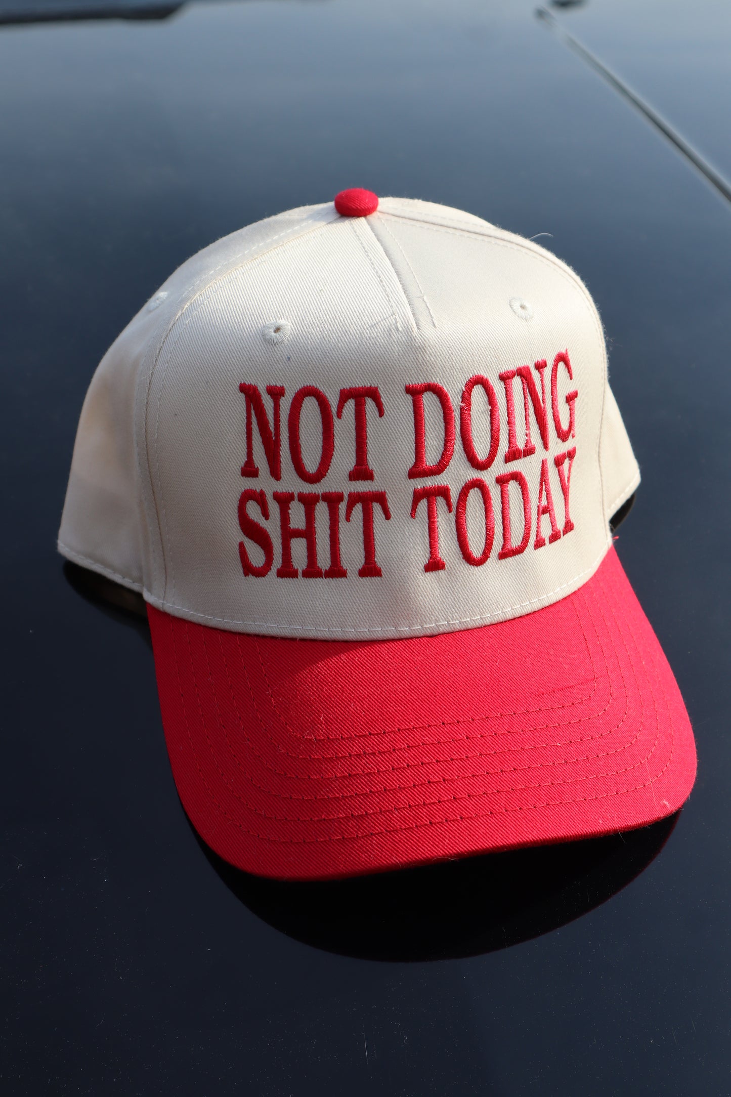 Embroidered "Not Doing Shi Today" Hats, Unisex, Adult