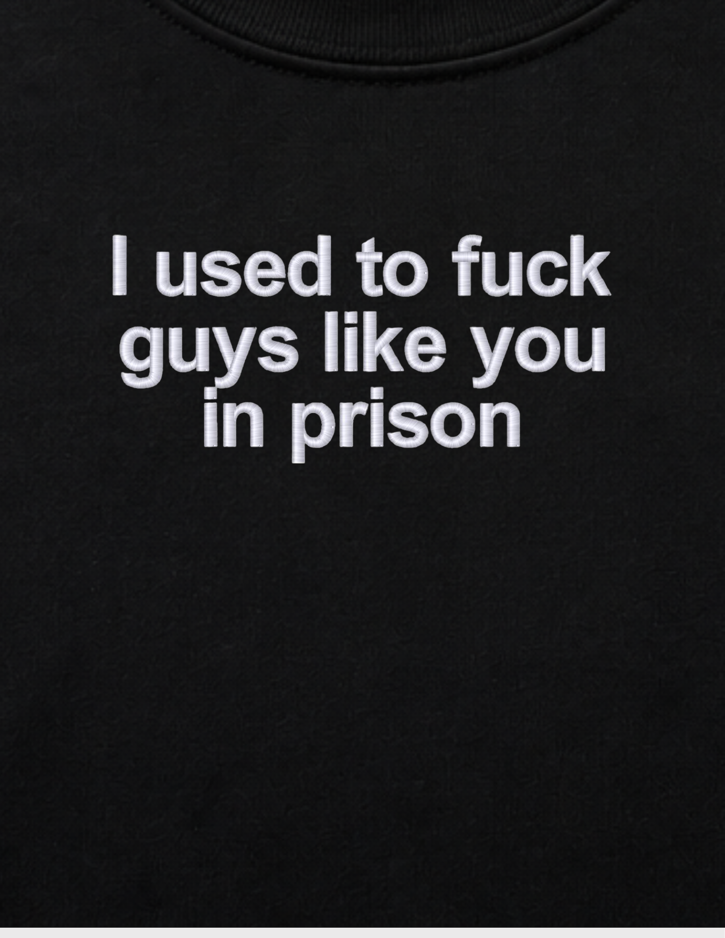 Embroidered I Used To F Guys Like You In Prison, Short Sleeve, Modern Classic Fit, Unisex, Adult T-Shirt