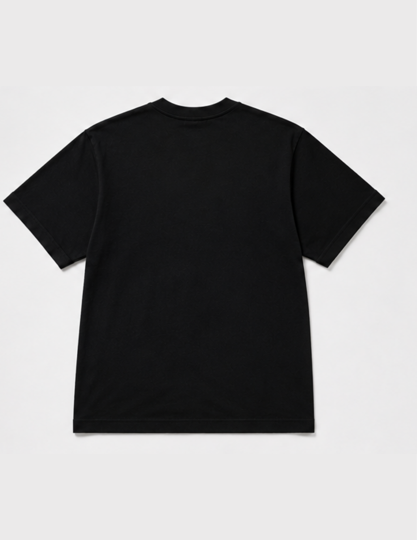 Embroidered I Used To F Guys Like You In Prison, Short Sleeve, Modern Classic Fit, Unisex, Adult T-Shirt