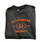 Embroidered 'Halloween University Scary Pumpkin Head'  Hoodie or Crew Neck, Long Sleeve, Classic fit, Unisex, Adult